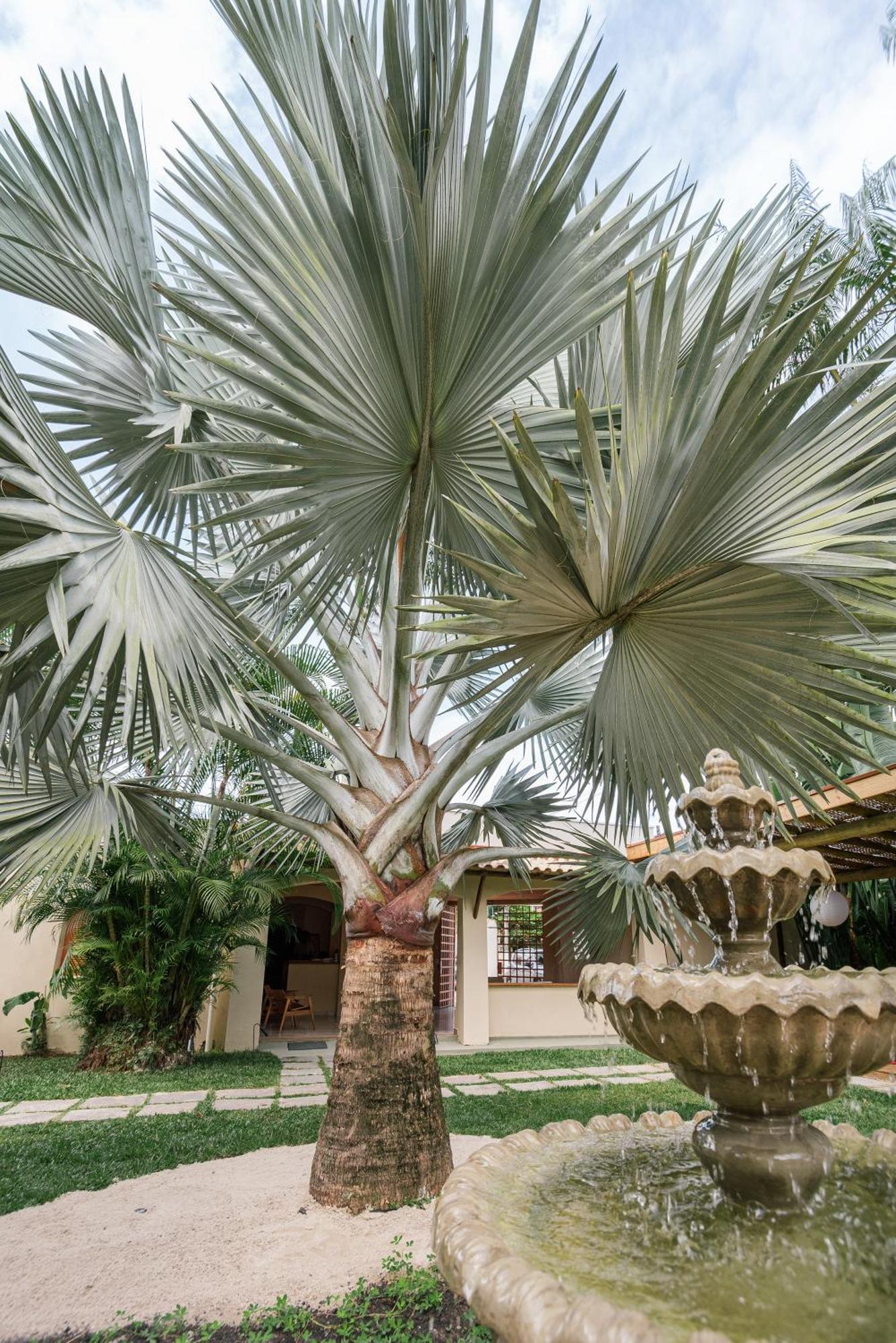 Pousada Pazuu أوباتوبا المظهر الخارجي الصورة